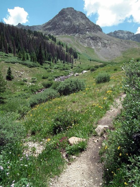 Grizzly Gulch trail follows Grizzly Creek all the way up to the north ...