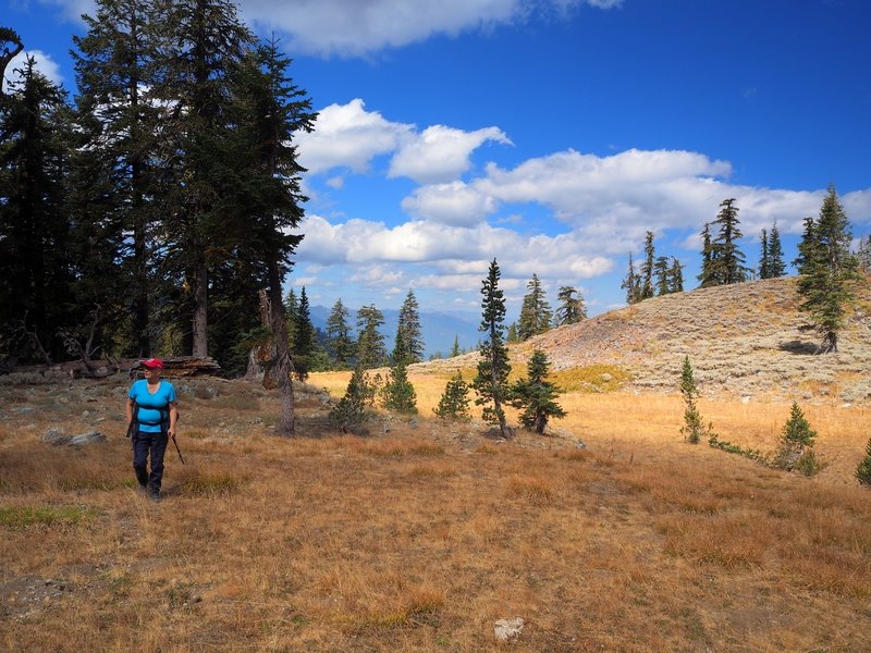 Passing the meadow above the lake