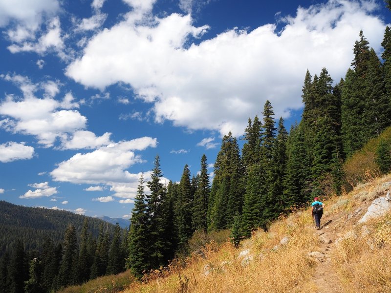 One of the few views from the Fox Creek Ridge Trail