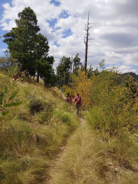 Home stretch heading back to the car after a 3-mile turnaround on the Knagge Trail #18