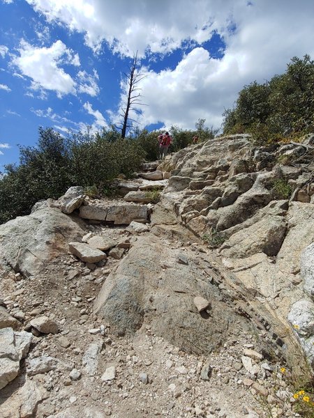 Panoramic lens on Knagge Trail #18; and it pretty well captures what you FEEL when you look up at that stack of rock stairs heading back to the trailhead. LoL