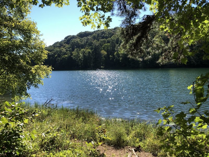 Looking over Greenbo Lake