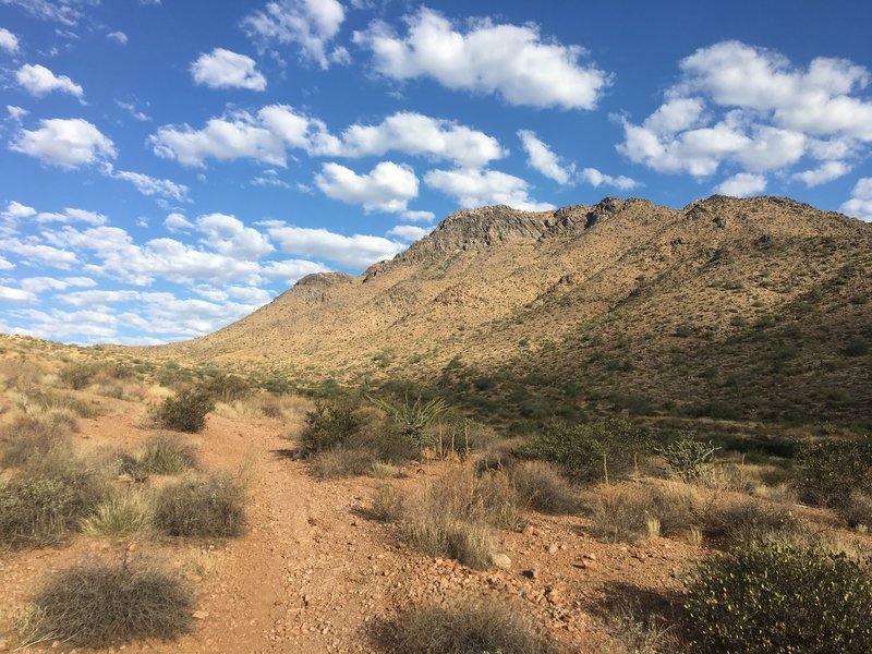 Looking north towards the lookout trail