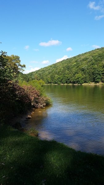 Beautiful view of the Allegheny from campsite #18