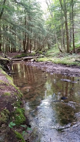 one of the many stream crossings