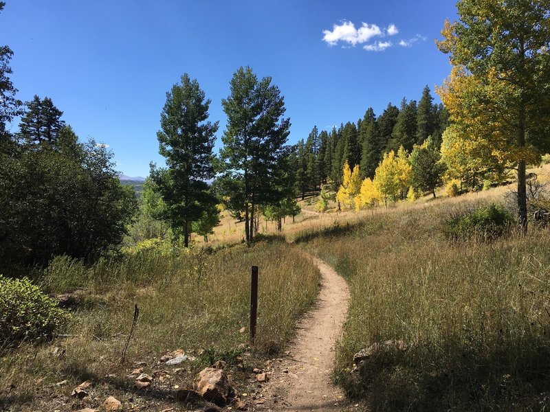 The last mile of the trail starts off a little grim: Mountain Base Road on your left, private property on your right. It eventually leads to a beautiful view of the valley.