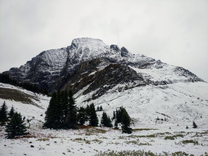 Late season on the alpine plateau near Wolverine Pass.