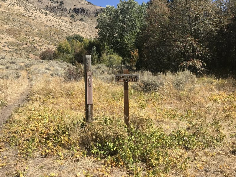 The junction of the Second Fork Rock Creek Trail and the Third Fork Trail.