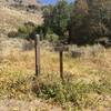 The junction of the Second Fork Rock Creek Trail and the Third Fork Trail.