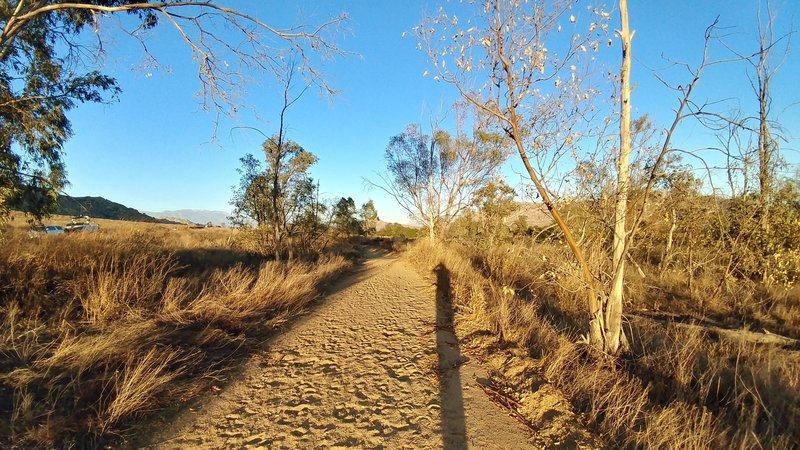 Entering the equestrian trail just off the paved road.