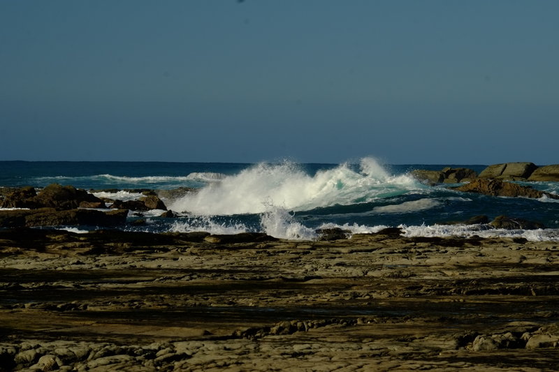 Day trip to Kaikoura