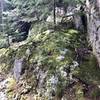 Along Valley Trail in Boreal forest