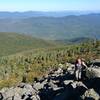 The boulder section above treeline leading to Mt Madison summit