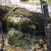 Small waterfall off a creek running parallel to the Goodwater Loop trail. You have to walk a bit off trail to get to it.