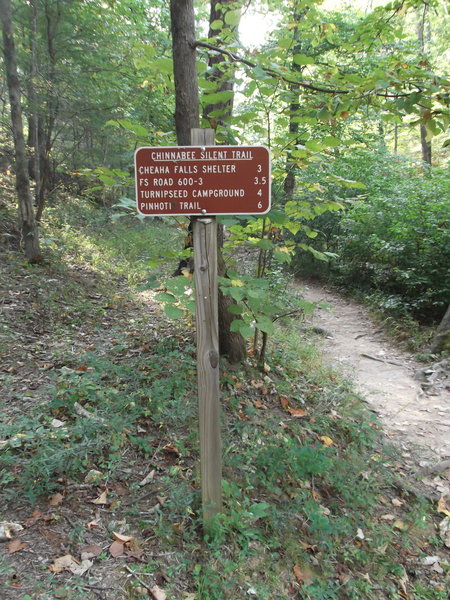 Trail Sign