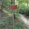 Trail Sign