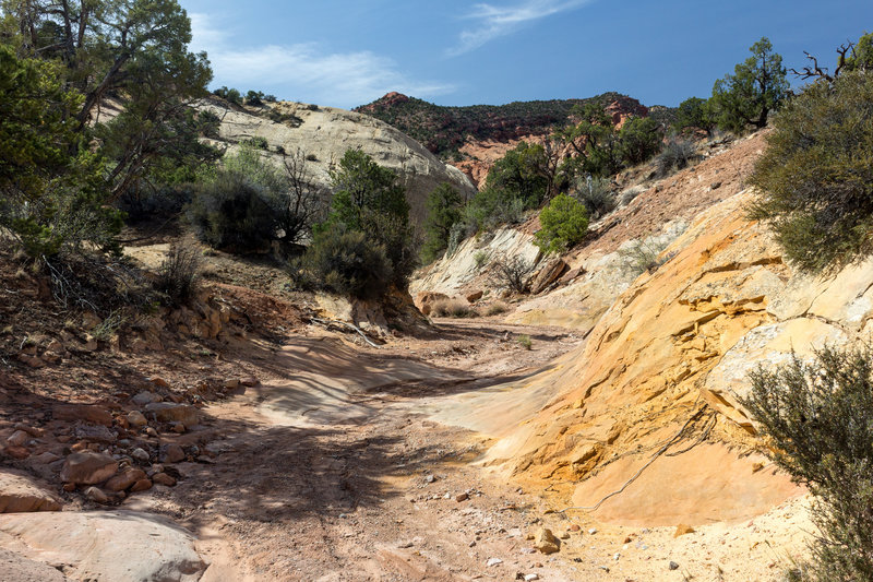 Different hues of red, orange, and yellow right next to the Red Canyon creek bed