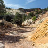 Different hues of red, orange, and yellow right next to the Red Canyon creek bed