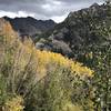 Stormy skies on the Upper Piney River Trail.