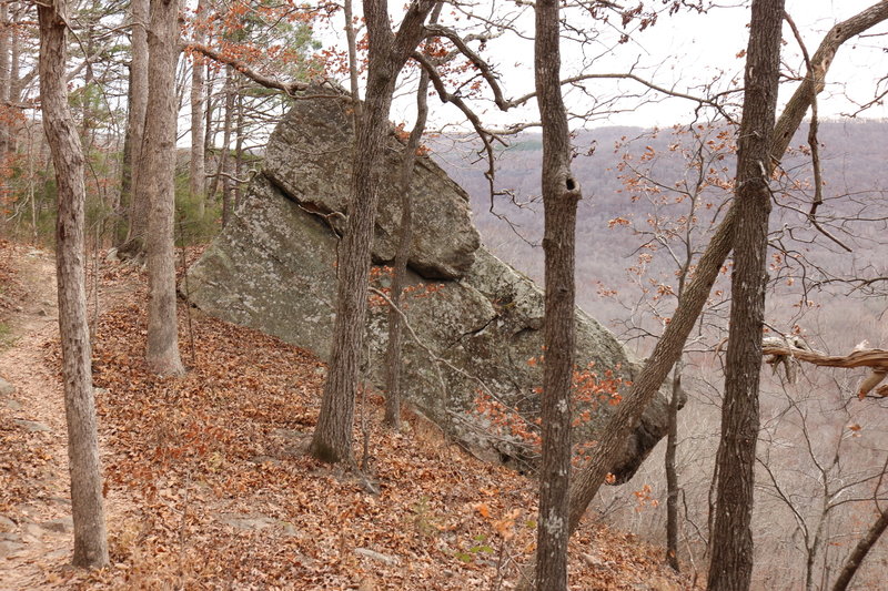 Whitaker Point Trail has interesting rock formations.  Here's just one of them.