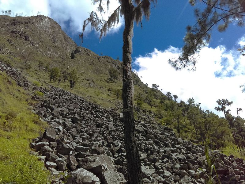 The trail goes around this impressive rock garden