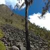 The trail goes around this impressive rock garden