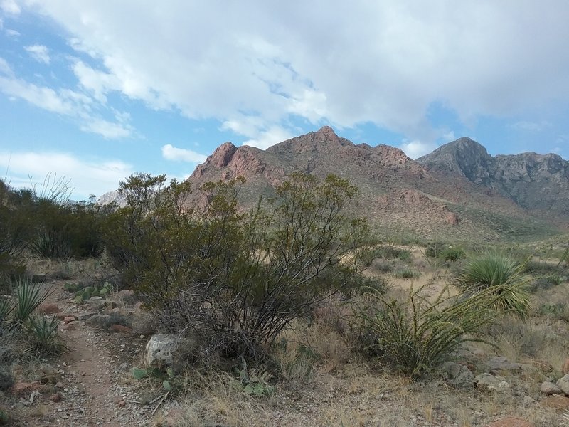 View of the Franklin Mountains.