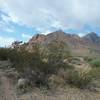 View of the Franklin Mountains.