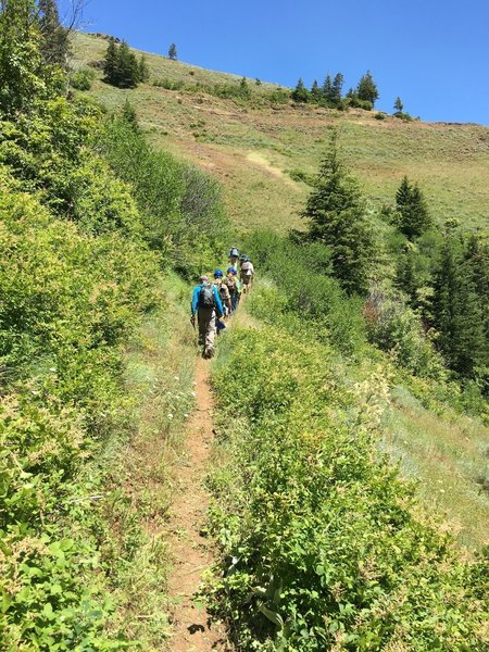 Hiking the upper trail Coyote Ridge.