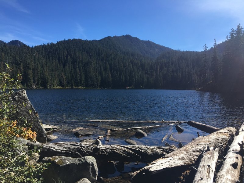 Looking out over Lower Tuscohatchie Lake.