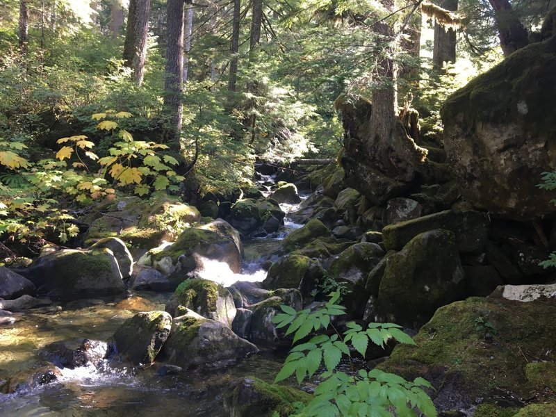 The slippery crossing at the Pratt River on the Kaleetan Lake Trail.