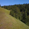 Looking east with trail in view