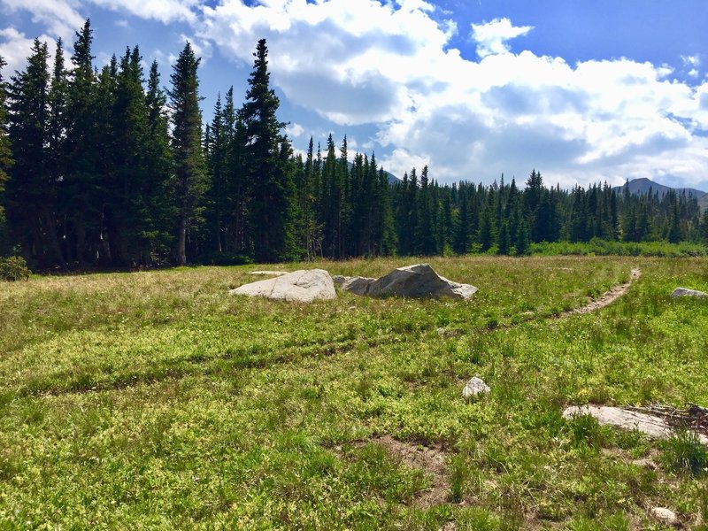 Plenty of camping spots by Devil Thumb Lake 08/07/18