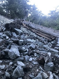 On the ascent up Icehouse Canyon