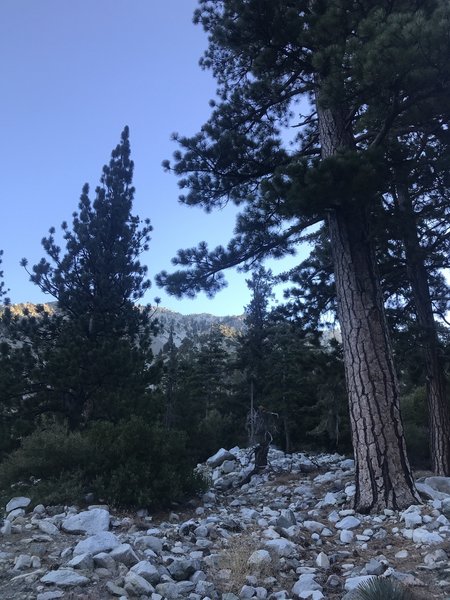 Icehouse Canyon early morning