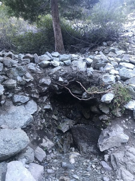 Columbine Spring, Icehouse Canyon Trail