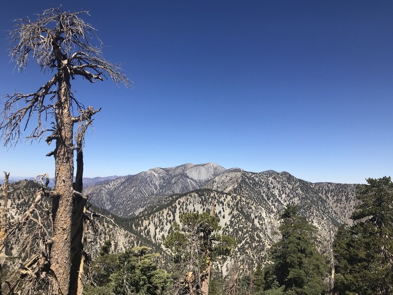 View to the north from Etiwanda Peak at Mt. Baldy. Icehouse Saddle, Timber and Telegraph Peaks also visible.