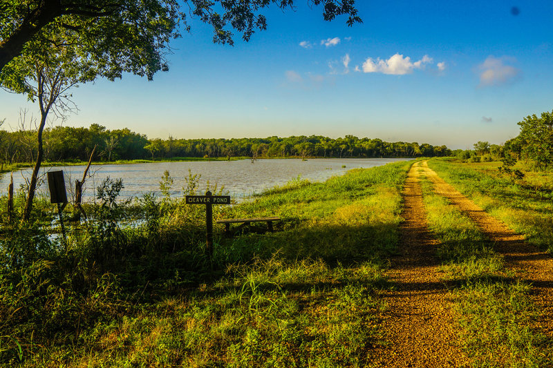 A small bench provides a great place to enjoy some bird watching next to Deaver Pond.