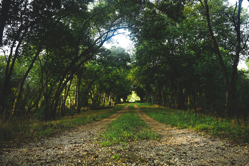 The tree-lined trail makes for an excellent hike at any time of the day.