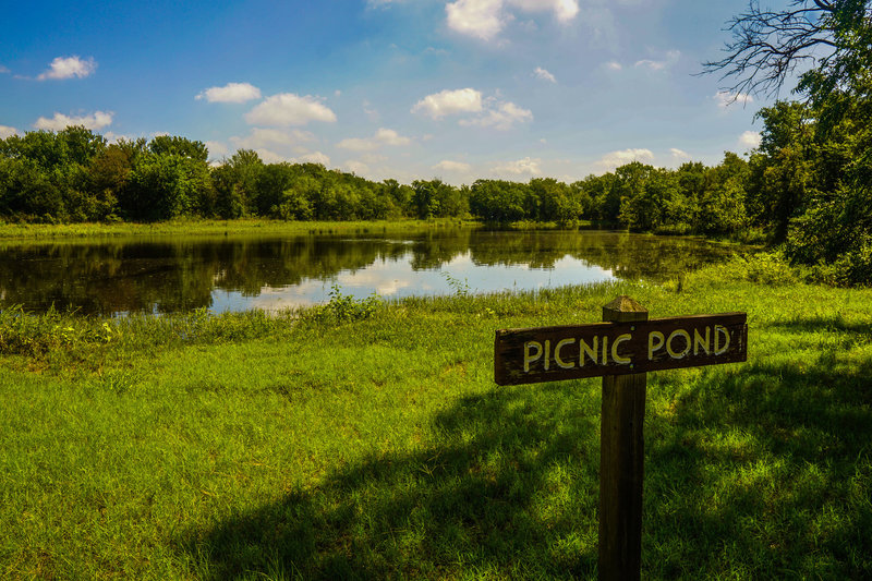 Picnic pond is a great place for fishing, bird watching, or .....a picnic.