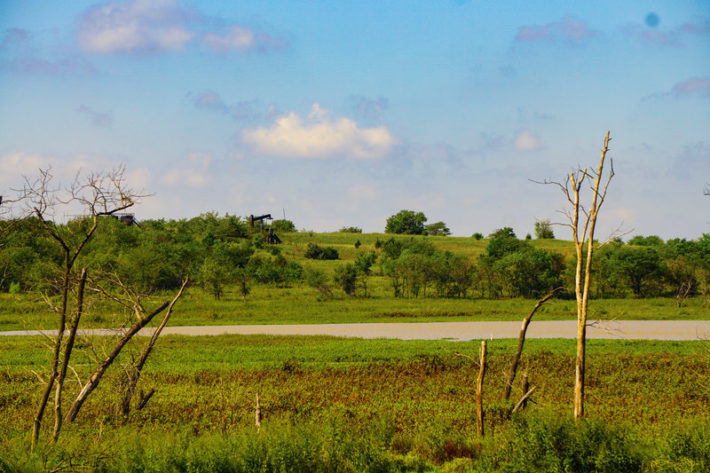 Pumpjacks.....another native species to the wildlife refuge.