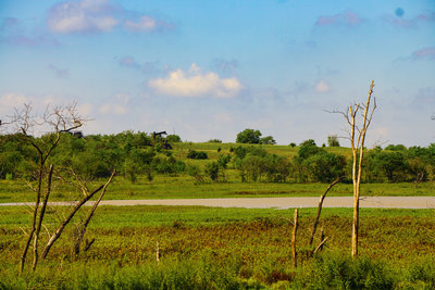 Pumpjacks.....another native species to the wildlife refuge.