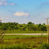 Pumpjacks.....another native species to the wildlife refuge.