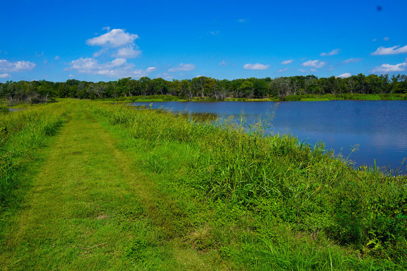 Your hike takes you ove a wide levee that seperates an overflow pond and Lake Texoma.