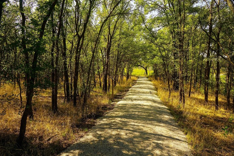 The hard packed gravel surface of the ADA Trail helps create access for all.