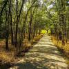 The hard packed gravel surface of the ADA Trail helps create access for all.