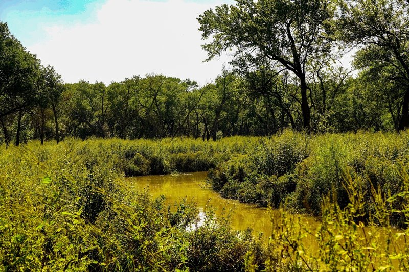 A small creek and wide marshy area provides some nice variation in scenery.