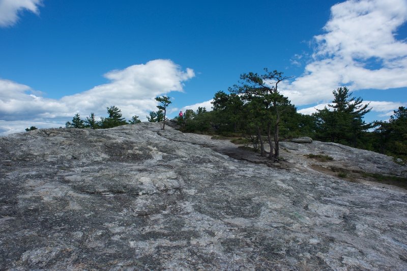 Looking at the summit of Jockey Cap after hiking over the top.  Take time to explore the summit and the views.