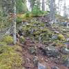 Mossy, steeper trail with ample rocks to negotiate on this section of trail