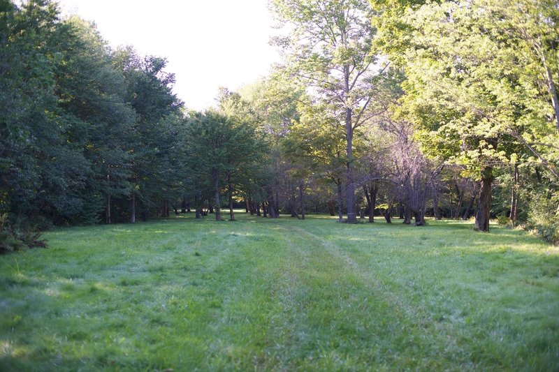 The trail makes its way through an Apple Orchard.